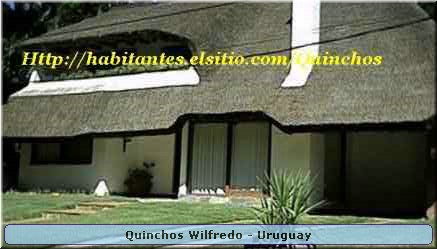 Quinchos Wilfredo