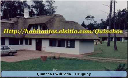 Quinchos Wilfredo