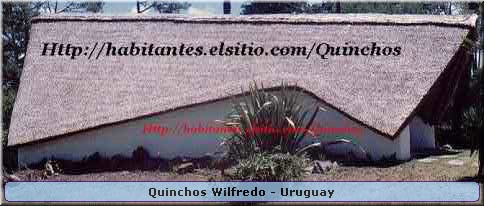 Quinchos Wilfredo