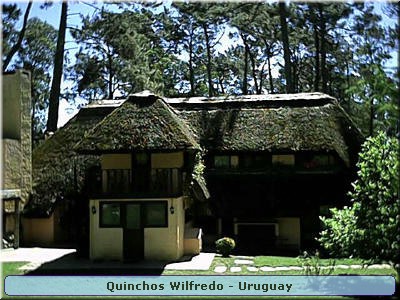 Quinchos Wilfredo