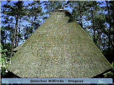 Quinchos Wilfredo