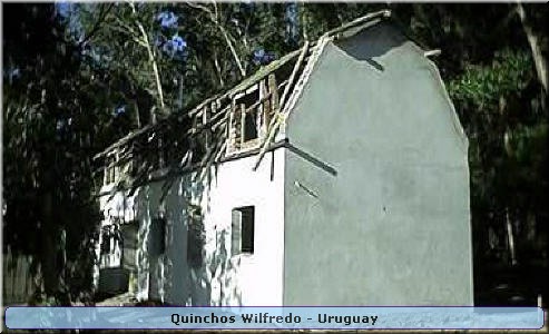 Quinchos Wilfredo