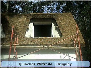 Quinchos Wilfredo