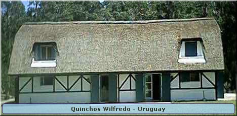 Quinchos Wilfredo