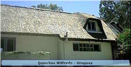 Quinchos Wilfredo