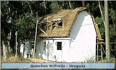 Quinchos Wilfredo