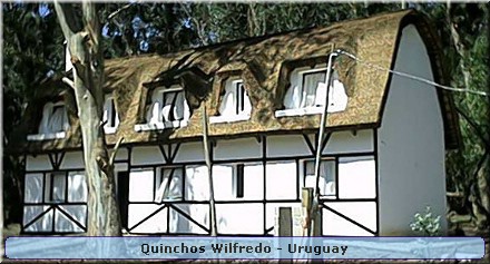 Quinchos Wilfredo