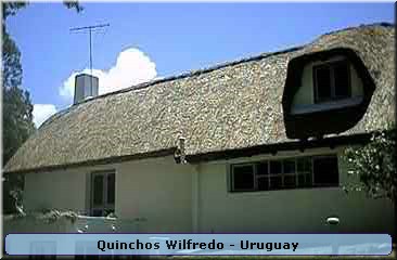 Quinchos Wilfredo