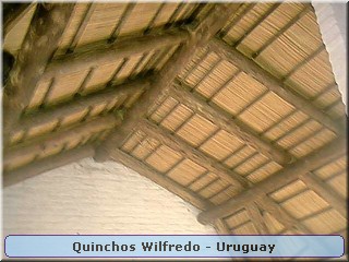 Quinchos Wilfredo