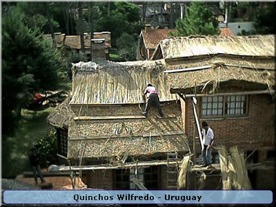 Quinchos Wilfredo