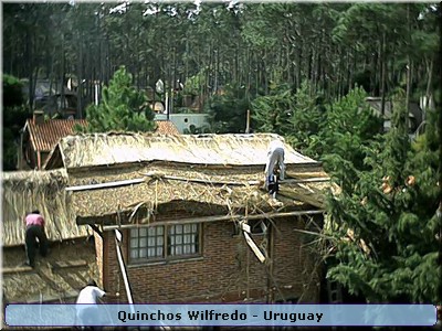 Quinchos Wilfredo