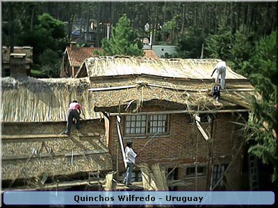 Quinchos Wilfredo
