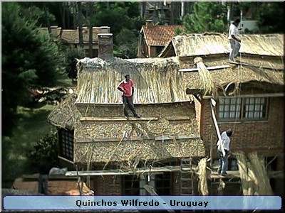 Quinchos Wilfredo