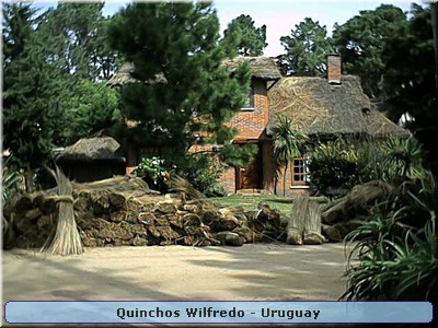 Quinchos Wilfredo