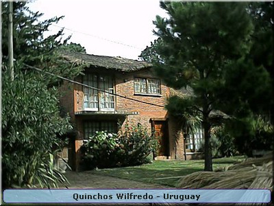 Quinchos Wilfredo