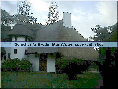 Quinchos Wilfredo