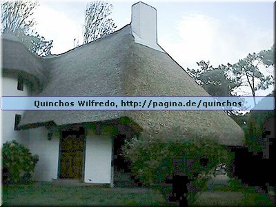 Quinchos Wilfredo