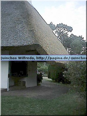 Quinchos Wilfredo