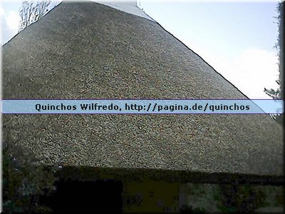Quinchos Wilfredo