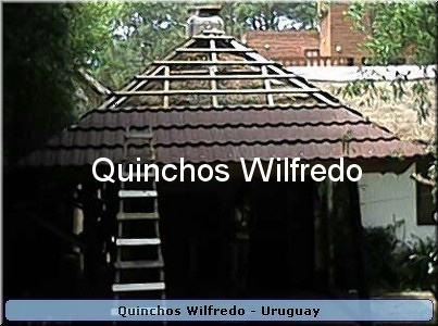 Quinchos Wilfredo